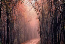 中国对美方“对等关税”提议表示关切,强调反对保护主义.