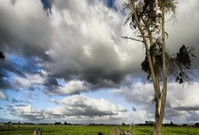 三球大胜莱沃库森 拜仁一脚跨入欧冠复赛门槛.