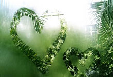 全运会女排资格赛：河南女排力克辽宁 朱婷回归在即.