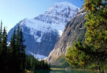 中国对美方“对等关税”提议表示关切,强调反对保护主义.