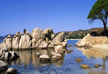 不参加LG杯颁奖仪式 柯洁退赛后简介改为世界围棋九冠王京报体育.